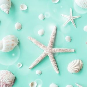 Meet your Posher, Patti